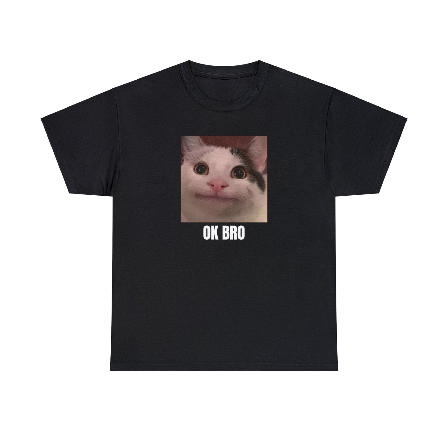 OK BRO T-SHIRT